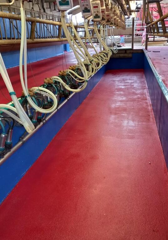 high build floor in milking parlour Belfast | Northern Ireland