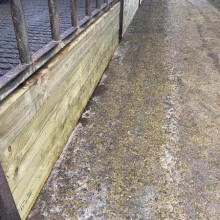 Cattle Feed Passage Before Cattle Feed Passage Before