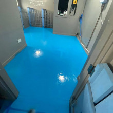 Silverwing Dog Groomers After Silverwing Dog Groomers After